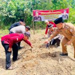 Dukung Ketahanan Pangan, Kapolsek Pulau Rimau Tanam Ubi Kayu