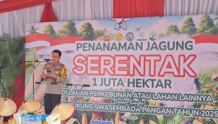 Sinergi dengan Polres Muara Enim, Bukit Asam Turut Mendukung Penanaman Jagung Serentak
