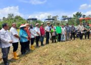 Bupati PALI Asgianto Targetkan Kabupaten PALI Jadi Pemasok Utama Beras di Sumsel