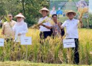 Bupati PALI Ambil Langkah Strategis Jaga Kestabilan Harga Beras