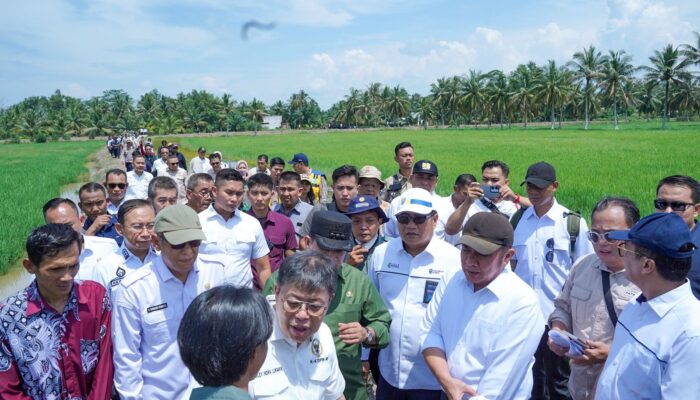 Peninjauan OPLA Banyuasin, Pusri Pastikan Pupuk Tersedia dan Distribusi Lancar 