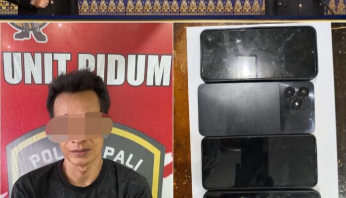 SATRESKRIM POLRES PALI BEKUK PELAKU CURAT, TIGA UNIT HANDPHONE DIAMANKAN