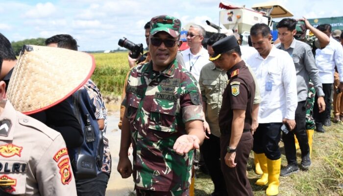 Sumsel Turut Panen Raya Serentak, Danrem 044/Gapo : Panen Raya Wujud Nyata Kegigihan Petani