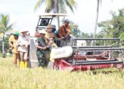 Panen Raya Serentak, Banyuasin 3 Besar Penghasil Gabah Nasional Optimis Optimalkan Swasembada Pangan