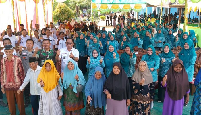 Lomba PKK Kecamatan Teluk Gelam, Camat: Semoga Bisa Mewakili di Tingkat Provinsi
