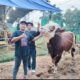 Jelang Idul Adha, Owen Siap Suplai Ratusan Hewan Qurban dari Lampung ke Sumatera dan Jawa
