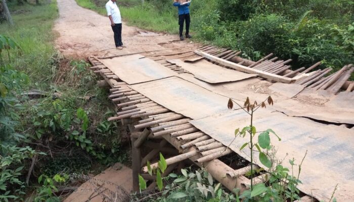 Pemkab Muba Segera Perbaiki Jembatan Desa Warga Mulya (B4)