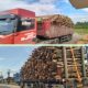 Warga Resah! Truk Kayu Diduga Tak Aman Melintas di Jalan Lintas Timur Banyuasin