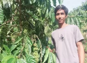 Kopi Robusta “Harapan Baru” – Kisah Kami, Petani Sawahlunto bersama Bukit Asam