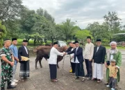 Bukit Asam Salurkan 331 Hewan Kurban ke Seluruh Wilayah Operasional