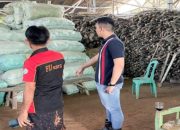 Pengembangan Komoditas Strategis Berkelanjutan di Indonesia, Togar : Gerak Cepat untuk Pertumbuhan Ekonomi dari Daerah