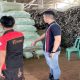 Pengembangan Komoditas Strategis Berkelanjutan di Indonesia, Togar : Gerak Cepat untuk Pertumbuhan Ekonomi dari Daerah