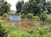 Nasib Proyek Kantor Gubernur Sumsel di Keramasan Belum Jelas, Lahannya Jadi Semak?