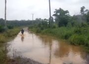 Jalan Padat  Banjir Tak Surutkan Semangat Guru di Pandan dan Bengkuang Banyuasin