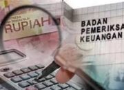 Temuan BPK, Guru SMA Negeri 1 Muara Sugihan Sudah Jadi Kades, Tapi Gaji ASN Masih Cair!