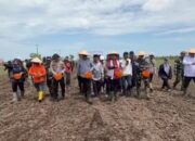 Optimis Banyuasin Jadi Nomor 1 Lumbung Pangan Nasional