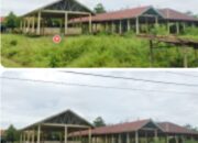 Pasar Rimba Alai Terbengkalai, Bangunan Jadi Semak Belukar – Warga Nilai Hanya Buang Uang Negara