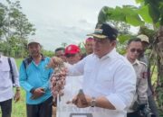 Bupati Banyuasin Tanam Bawang Merah Perdana di Duren Ijo: Target Jadi Sentra Baru!
