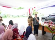 Ayu Nur Suri  Perjuangkan Ekonomi Kerakyatan, Bagikan Bantuan Perlengkapan UMKM di Palembang