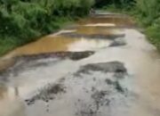 Jalan Desa Sedang Suak Tapeh Terendam Saat Hujan, Warga: Kami Seperti Terisolasi