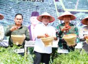 Panen Raya Cabai 4 Ton, Bukti Nyata Keseriusan Pemkab Banyuasin Wujudkan Kejayaan Pangan