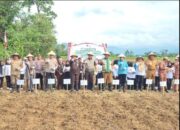 Kejari Pagar Alam Bersama Kajati Sumsel Tanam Jagung, Dukung Program Jaksa Mandiri Pangan