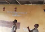 Unik Tapi Memprihatinkan, PLT Kepsek SDN 37 Banyuasin Usir Ribuan Kelelawar dengan Menjebol Plafon Kelas