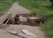 Gorong-Gorong Jebol Lumpuhkan Akses Ekonomi Warga Betung Barat