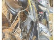 Digempur Operasi Pekat Musi  2026, Polres Pali Polres Pali Tak Beri Ampun Pelaku Curat to Street Crime
