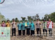 Polsek Penukal Utara Kawal Ketahanan Pangan, 2,5 Hektar Jagung Ditanam di Desa Lubuk Tampui