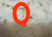 Dinkes Akui Ada Belatung di Nasi MBG SMPN 1 Sembawa, Soroti Higienitas Dapur