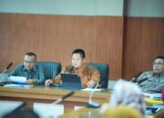 Pemkab Banyuasin Rancang Skema P3K Untuk Penugasan Pada KDKMP