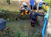 Gerak Cepat Camat Ilir Barat I Tinjau Titik Banjir dan Pimpin Pembersihan Saluran