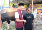 Ratu Dewa Antar Langsung Sapi Kurban Presiden Prabowo ke SU II, Warga Sambut Meriah dan Haru