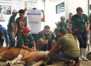PT Pegadaian Kanwil III Sumbagsel Salurkan Hampir 2.000 Paket Daging Kurban untuk Masyarakat