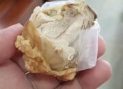 Heboh! Menu Ayam MBG di Posyandu Cemara Dikeluhkan Berbau, Puskesmas Gandus Turun Tangan