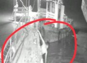 Diterkam Buaya di Depan Rekan Kerja? Pria Asal Bandung Hilang Misterius di Sungai Banyuasin