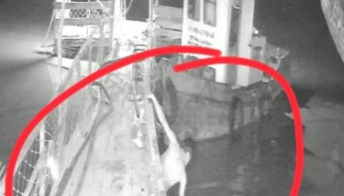 Diterkam Buaya di Depan Rekan Kerja? Pria Asal Bandung Hilang Misterius di Sungai Banyuasin