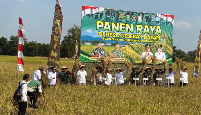 Sinergi Pemkab Banyuasin dan TNI Dorong Hasil Panen Raya Desa Gelebak Dalam Tembus 8,4 Ton per Hektar