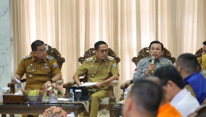 Karhutla Kepung Palembang, 185 Hektare Lahan Terbakar: Ratu Dewa Bentuk Tim Reaksi Cepat