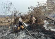 Satgas Karhutla Polda Sumsel Padamkan Kebakaran Lahan 2 Hektare di Bakung