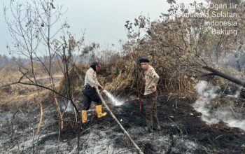 Satgas Karhutla Polda Sumsel Padamkan Kebakaran Lahan 2 Hektare di Bakung