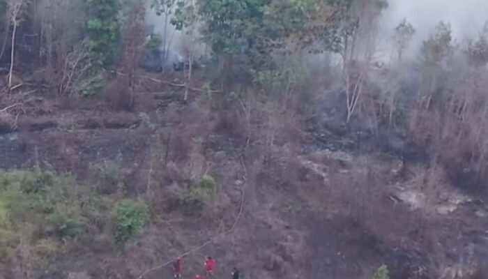 18 Perusahaan HTI di Sumsel Terdeteksi 10.411 Hotspot, WALHI Desak Audit dan Cabut Izin