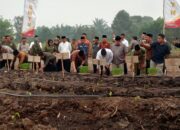 Penanaman Perdana GSMP di Pesantren, HMTN MP Sumsel Dorong Kemandirian Pangan