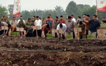 Penanaman Perdana GSMP di Pesantren, HMTN MP Sumsel Dorong Kemandirian Pangan