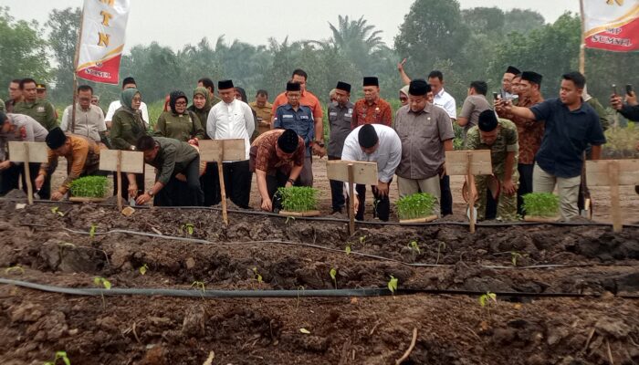 Penanaman Perdana GSMP di Pesantren, HMTN MP Sumsel Dorong Kemandirian Pangan