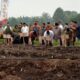 Penanaman Perdana GSMP di Pesantren, HMTN MP Sumsel Dorong Kemandirian Pangan